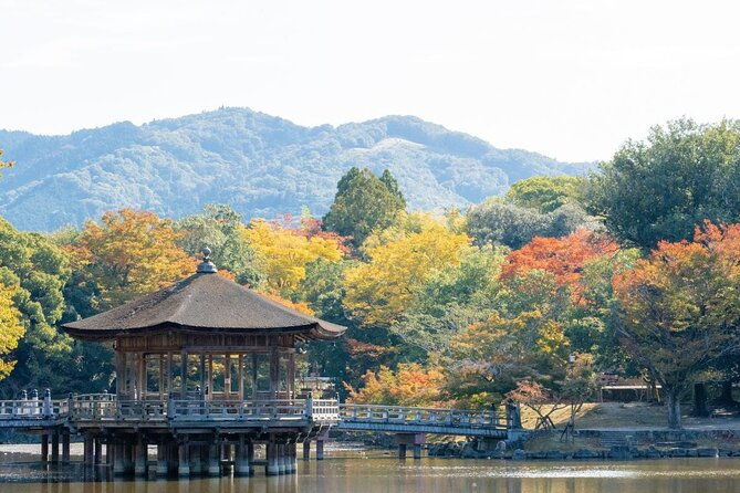nara-private-day-walking-tour-from-osaka-kyoto-possible