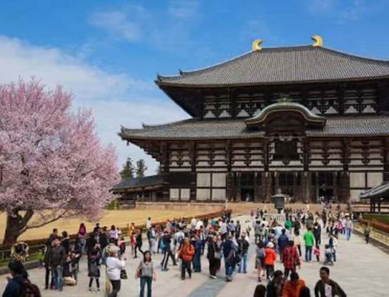 Nara: Private Full-Day Tour with Licensed Guide - Discovering Nara: A Guided Day in Japan’s First Capital