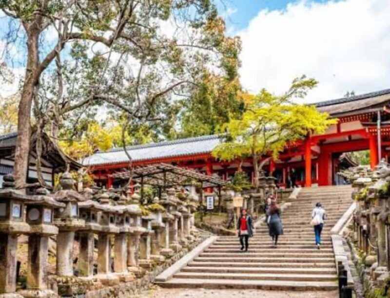 Nara: Private Full-Day Tour with Licensed Guide - Practical Details: What You Need to Know