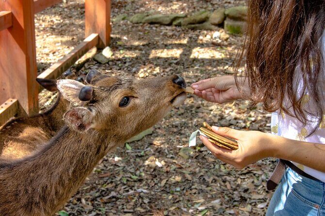 Nara Private Personalized Tour with a Local: Highlights & Gems - End at a Tranquil Pond
