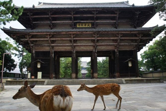 nara-private-tour-by-public-transportation-from-osaka