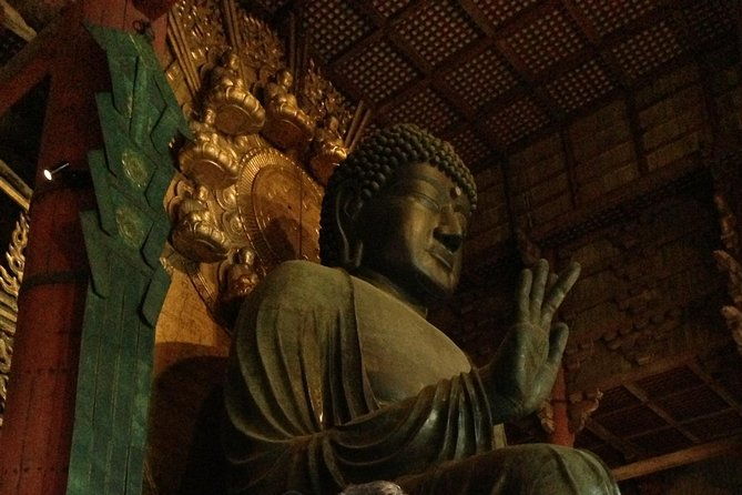 nara-private-tour-shore-excursion-available-from-osaka-or-kobe-port