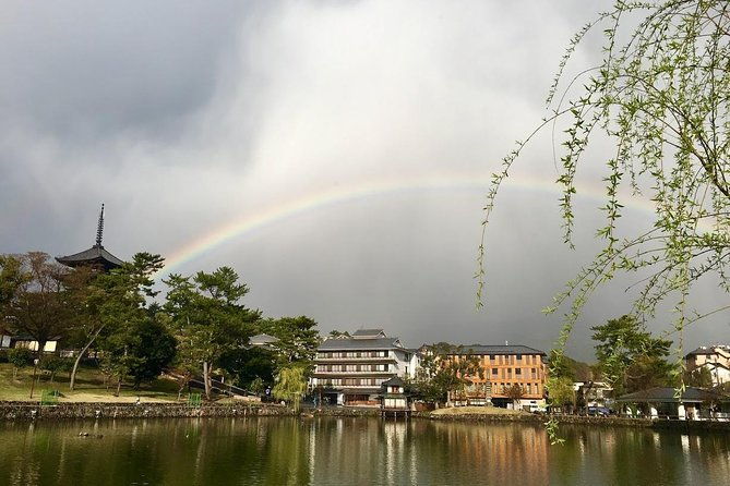 nara-private-tour-shore-excursion-available-from-osaka-or-kobe-port