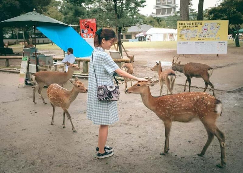 Nara: Private Tour with Car Deer Park & Todai-ji Temple - A Closer Look at the Nara Private Tour