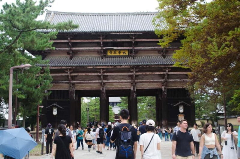 Nara: Private Walking Tour from Osaka - Key Points
