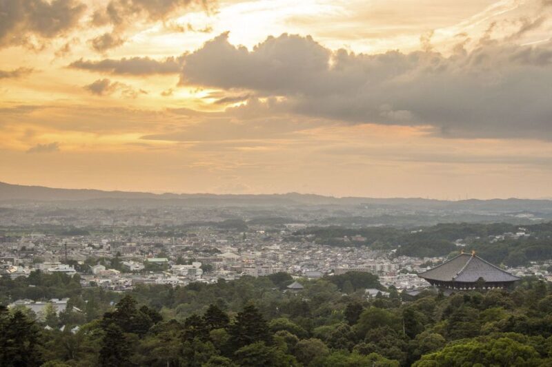 Nara: Private Walking Tour with a Local - Key Points
