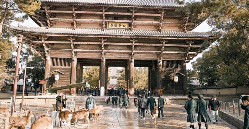 Nara: Private Walking Tour with a Local - Who Will Appreciate This Tour?