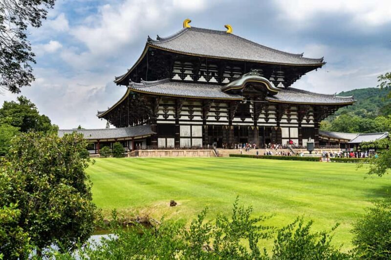 Nara Revealed: Ancient Temples, Sacred Deer & Local Stories - The Sum Up