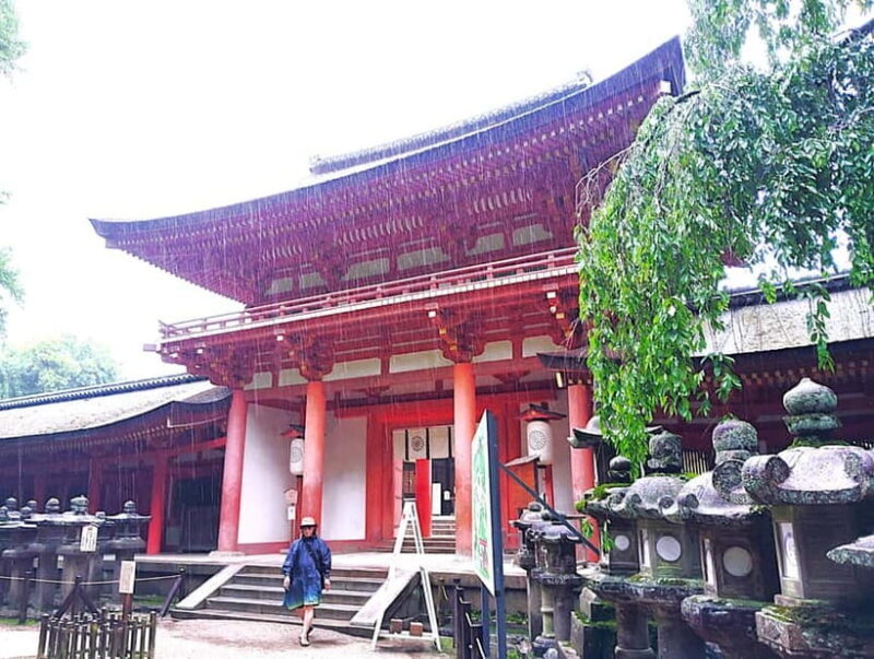 Nara: Sacred Morning Walk with Deer in the Mist - Why This Tour Offers Great Value