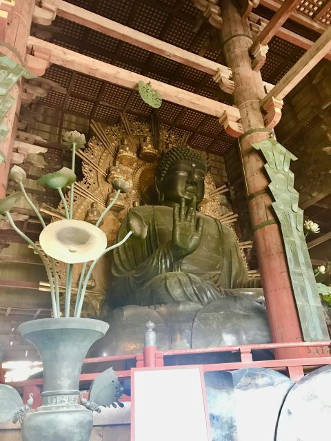 nara-todai-ji-and-nara-park-spanish-guide