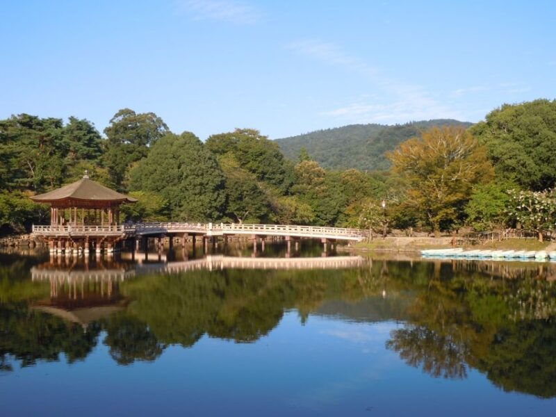nara-todai-ji-and-nara-park-spanish-guide
