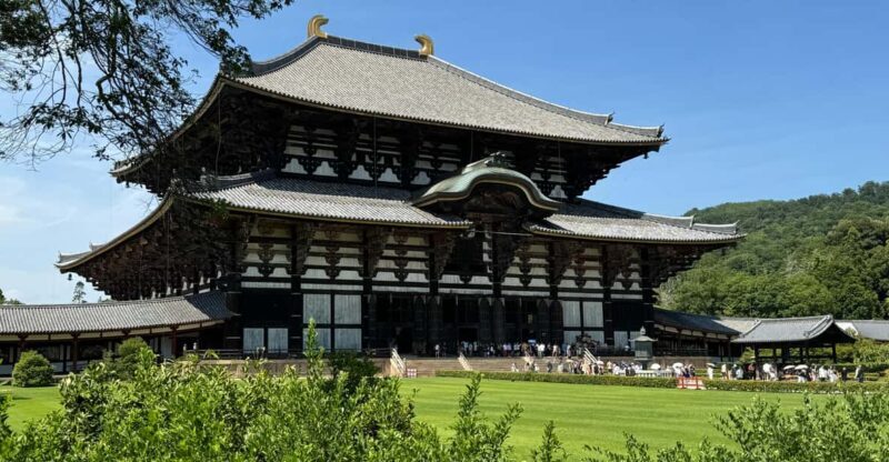 Nara: Todai-jis Great Buddha & All Its Treasures in 2 Hours - What to Expect During the Tour