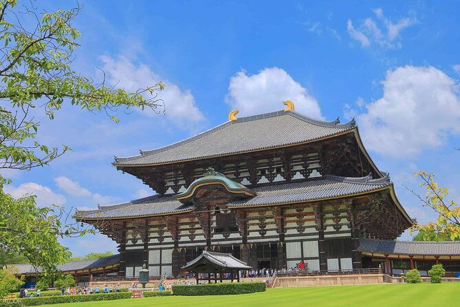 nara-todaiji-temple-and-kuroshio-market-one-day-tour-from-osaka