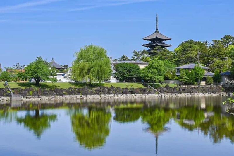 Nara & Uji Private Day Tour - Kyoto Comfort Culture Focused - Frequently Asked Questions (FAQ)