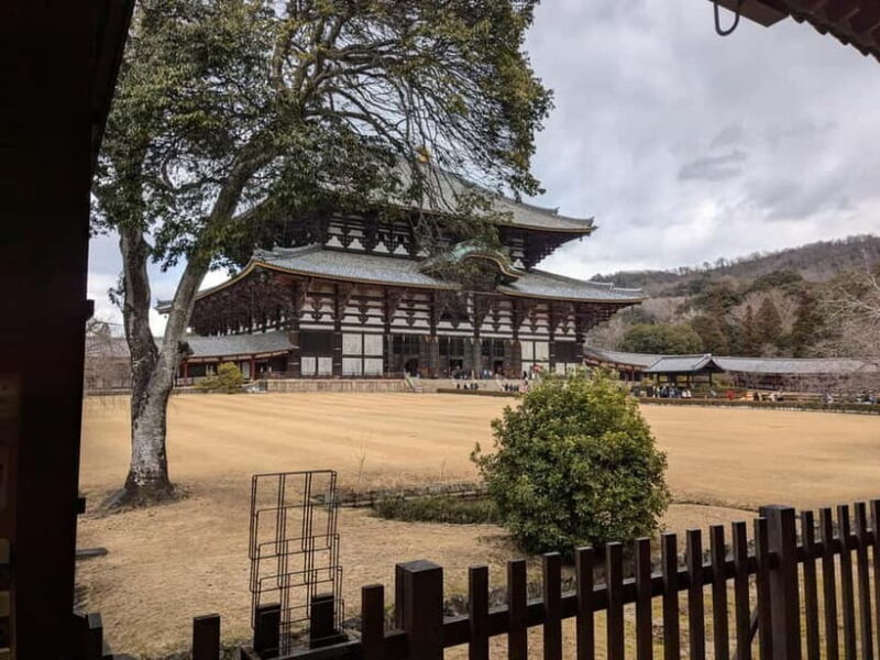 Nara: UNESCO Heritage Sites & Deer Park Tour with Pro guide - Why We Love This Tour