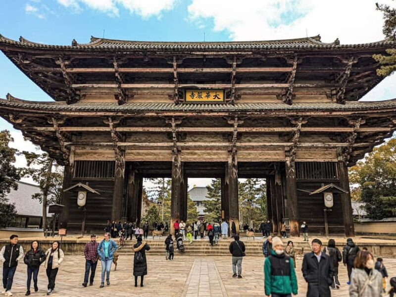 Nara: UNESCO Heritage Sites & Deer Park Tour with Pro guide - The Itinerary: What You Can Expect