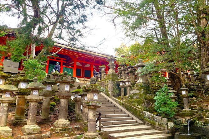 Nara UNESCO World Heritage Sites Slow Cycling Tour - FAQs