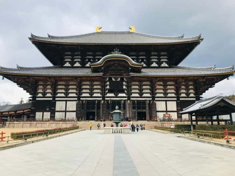 Nara Walking Tour for Small Groups: Temples and Deer - Key Points