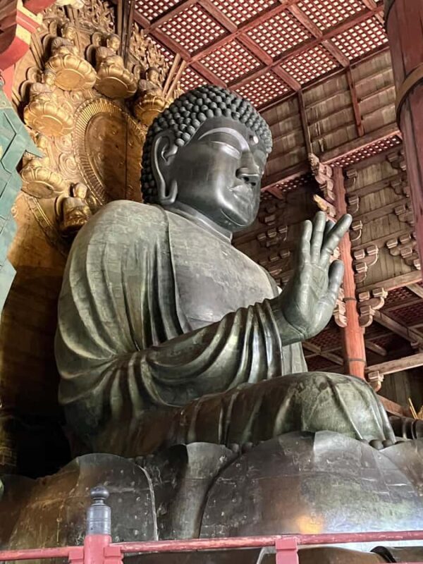 Nara Walking Tour for Small Groups: Temples and Deer - Authentic Experiences and Real Insights