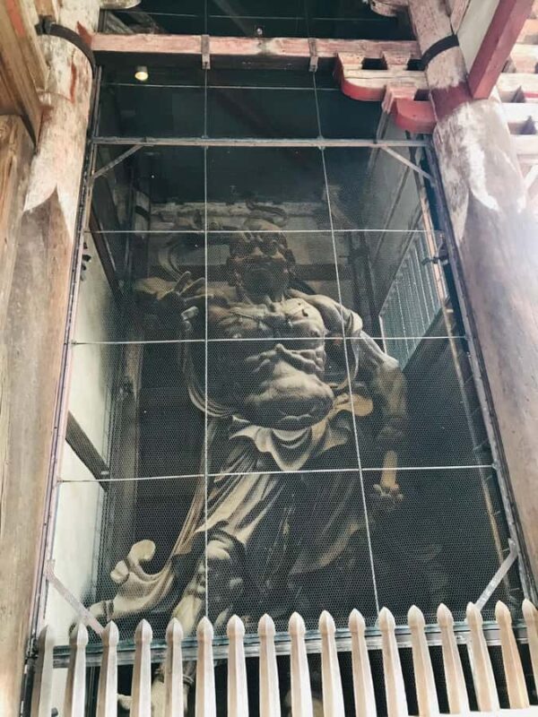 Nara Walking Tour for Small Groups: Temples and Deer - Who Is This Tour Perfect For?