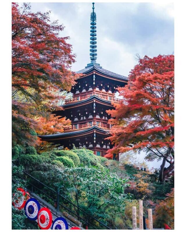 Nara: Walking Tour with History, and spiritual stories - Final Thoughts: Who Is This Tour Best For?