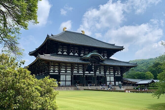 Nara With a Licensed Guide - A Closer Look at the Itinerary