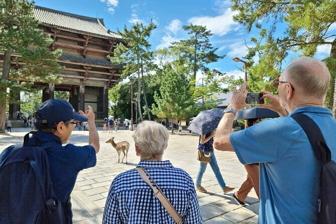 Nara With a Licensed Guide - What Past Participants Say