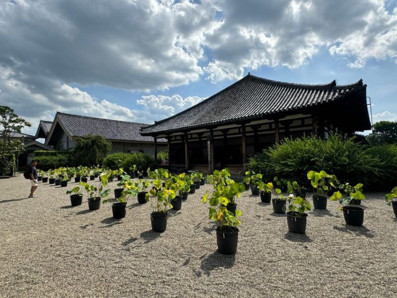 nara-world-heritage-gangoji-temple-naramachi-old-town