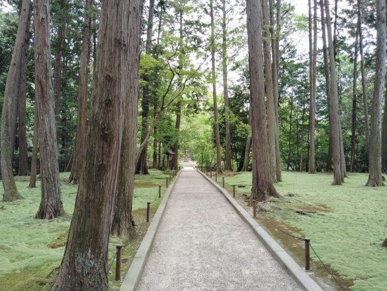 nara-world-heritage-yakushi-ji-toshodai-ji-in-3-hours