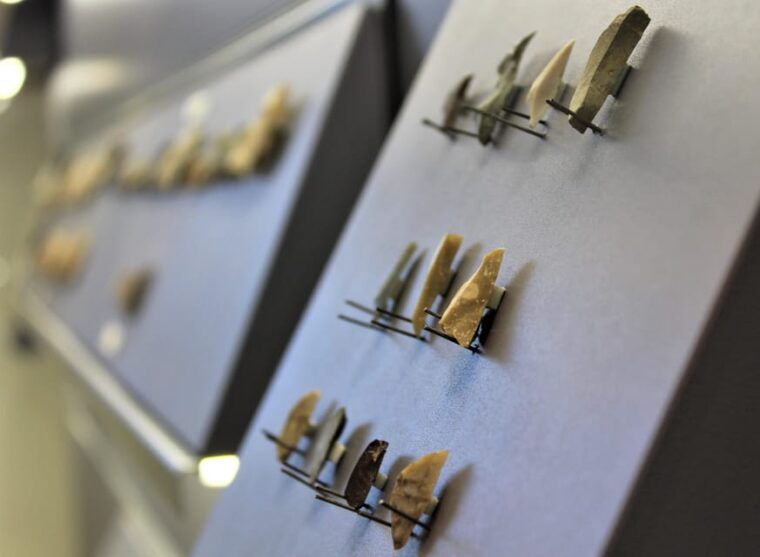 nardo-nardo-lecce-guided-tour-of-the-prehistoric-museum