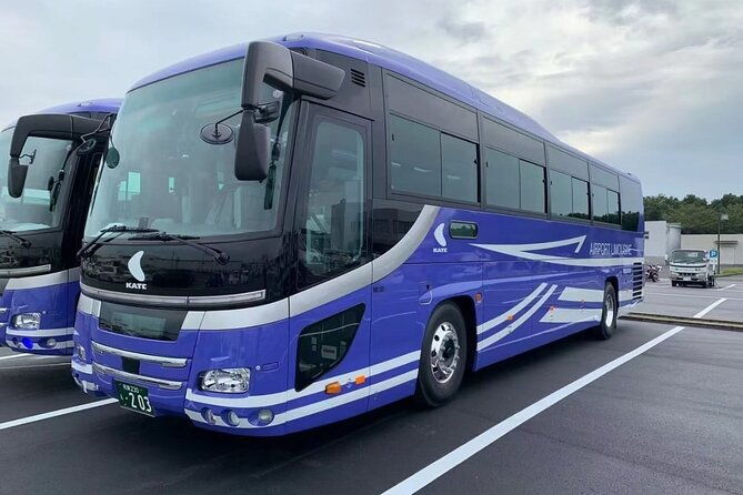 narita-airport-to-kyoto-city-japan-private-transfer