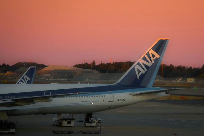 narita-or-haneda-airport-private-transfer-to-hotel-or-airbnb