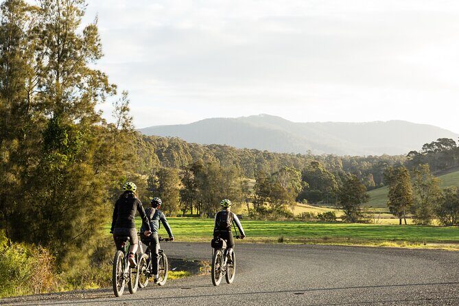 Narooma - E-Bike Hire 2 Hour Rental - Authentic Experiences from Reviewers