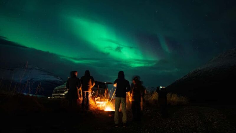 Narvik: Guided Northern Lights Tour with Photography Tips - What This Tour Entails