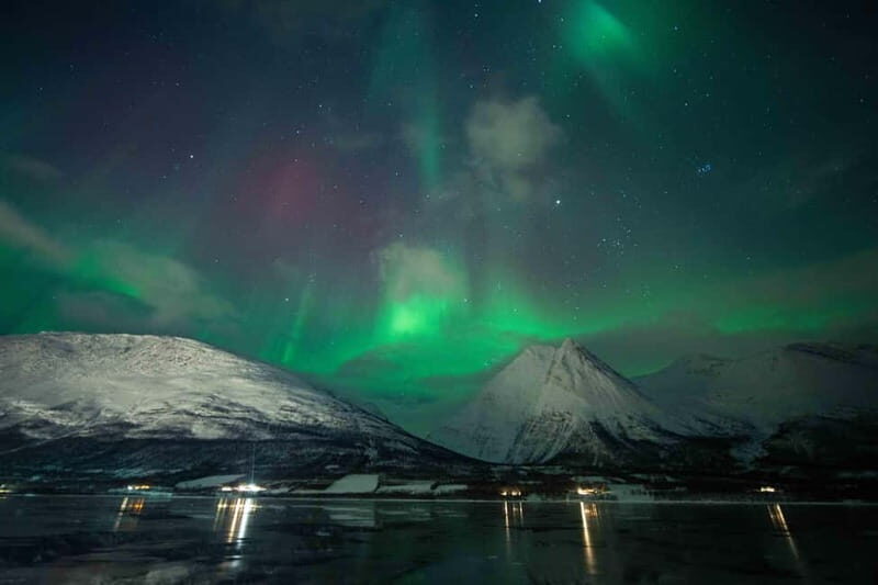 Narvik: Northern Lights Guided Tour with Photography Tips - Overview of the Experience