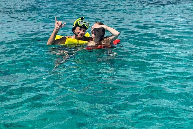 nassau-half-day-reef-snorkeling-turtles-swimming-pigs