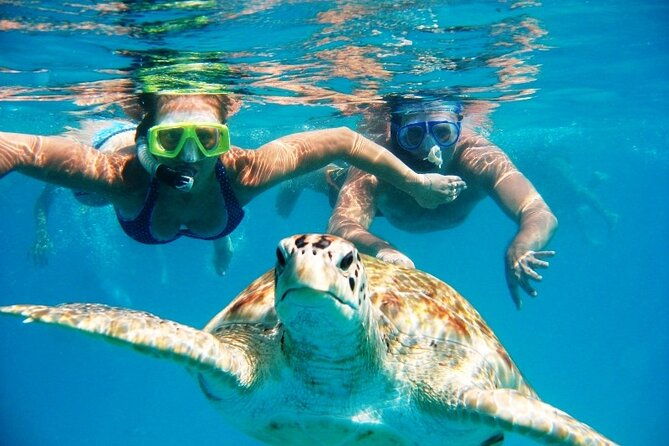 nassau-private-island-snorkeling-turtles-drinks-bbq