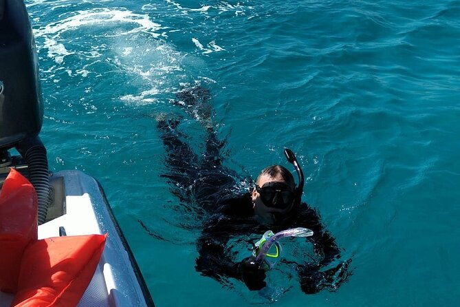 nassau-private-island-snorkeling-turtles-drinks-bbq