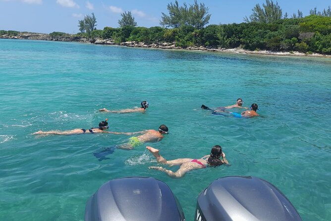 nassau-private-swimming-pig-island-hopping-snorkeling-turtles