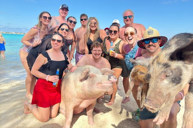 nassau-swimming-with-pigs-turtles-snorkeling-harbour-tour
