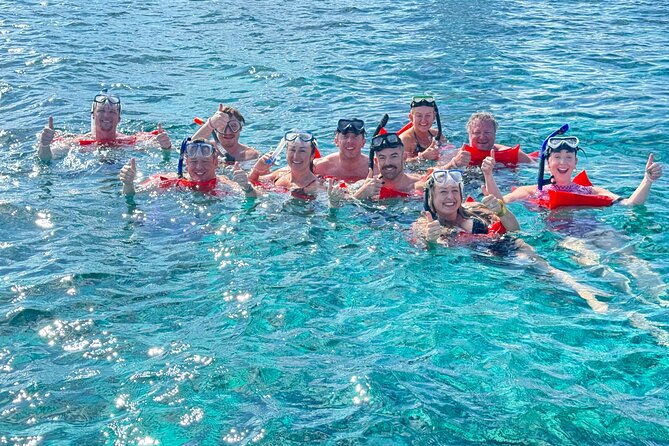 nassau-swimming-with-pigs-turtles-snorkeling-harbour-tour