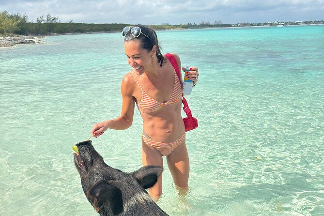 nassau-swimming-with-pigs-turtles-snorkeling-harbour-tour
