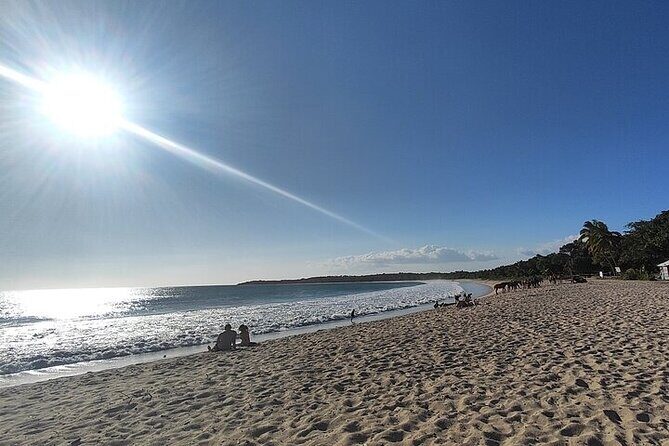 Natadola Beach Half Day Private Excursion from Nadi/Denarau - The Authentic Experience: What Travelers Say