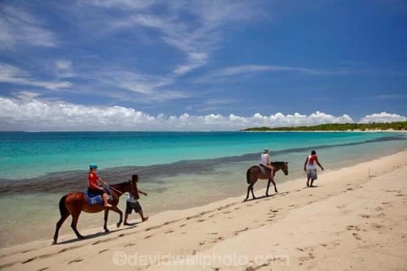 Natadola Beach Tour With Tifajek Mud Pool & Hotspring - Wellness and Massage Options