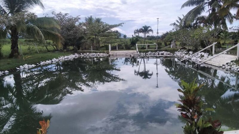 Natadola Beach Tour With Tifajek Mud Pool & Hotspring - Additional Considerations and Pricing