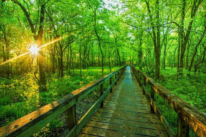 natchez-trace-parkway-self-guided-driving-audio-tour