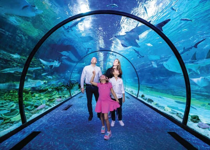 National Aquarium & Adrenark Adventure Combo Ticket - Key Points