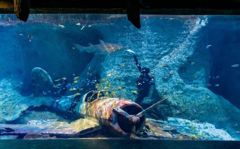 National Aquarium & Adrenark Adventure Combo Ticket - An In-Depth Look at the National Aquarium Abu Dhabi