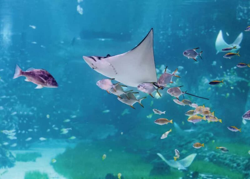 National Aquarium & Adrenark Adventure Combo Ticket - Practical Details and Tips for Your Visit