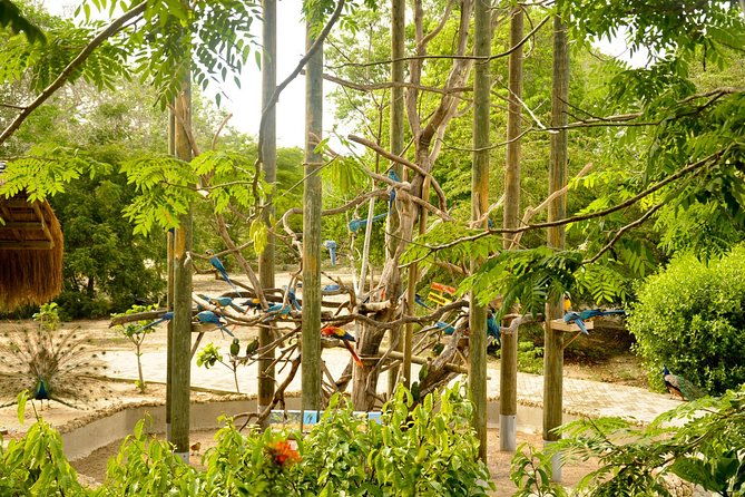 national-aviary-private-from-cartagena